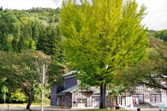 昭和村散歩3(福島)