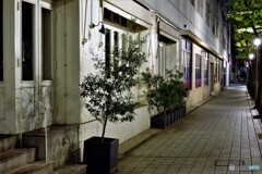 神戸散歩6(兵庫)