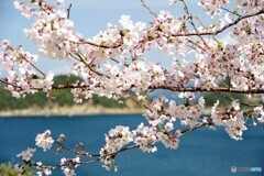 由良町散歩1(和歌山)