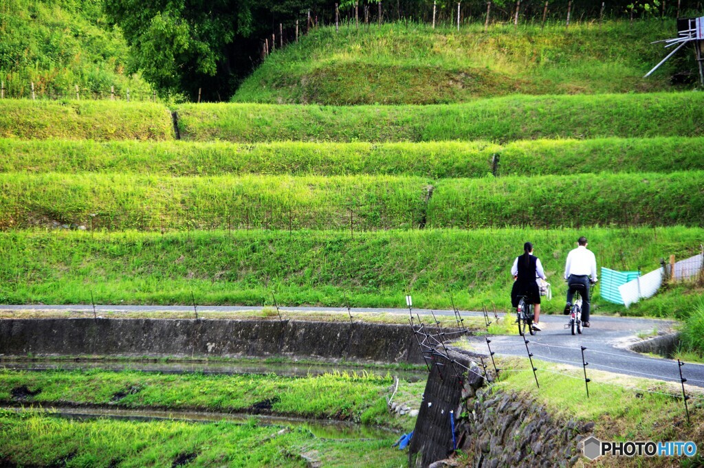 千早赤阪村散歩8(大阪)