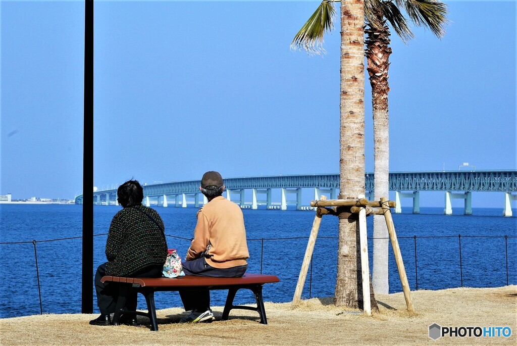 泉佐野散歩③(大阪)