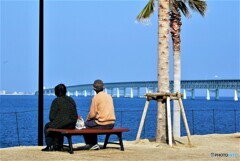 泉佐野散歩③(大阪)