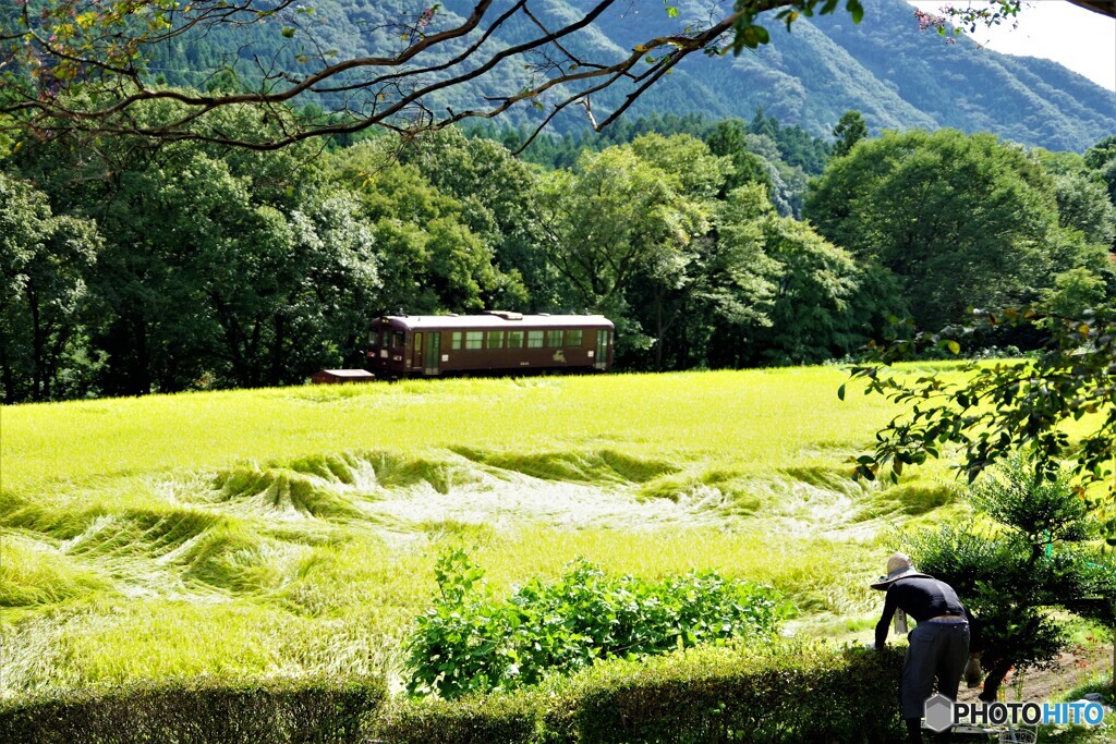 みどり散歩1(群馬)