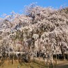 秩父散歩1(埼玉)