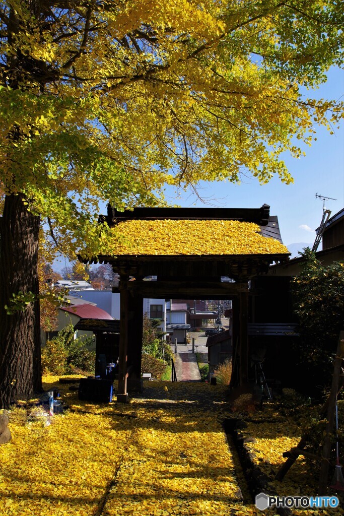 飯山散歩2(長野)
