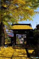 飯山散歩2(長野)