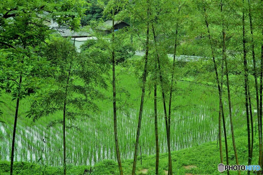 明日香村散歩6(奈良)