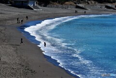 葉山町散歩3(神奈川)