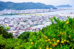 有田散歩3(和歌山)