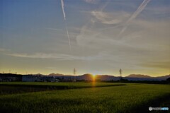 桑名散歩②(三重)