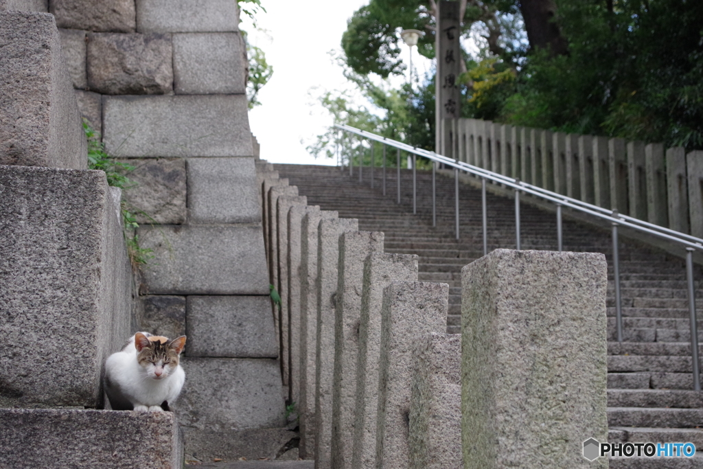 天王寺区散歩④(大阪)