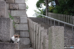 天王寺区散歩④(大阪)