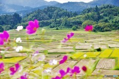 朝日町散歩①(山形)