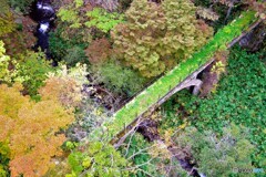 那須散歩②(栃木)