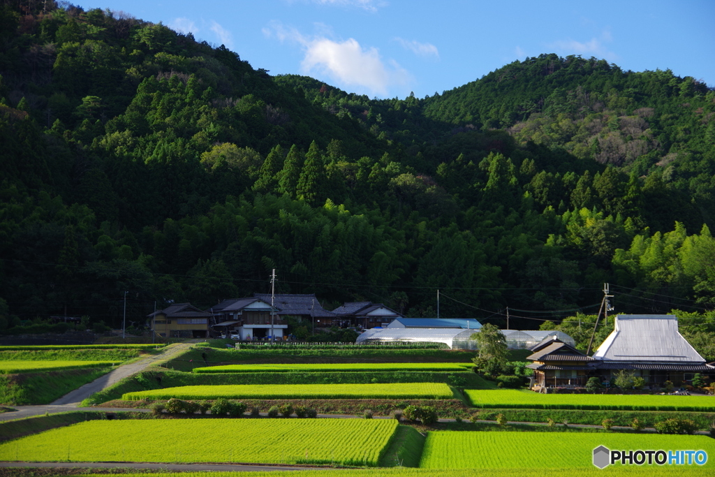 かつらぎ町散歩6(和歌山)