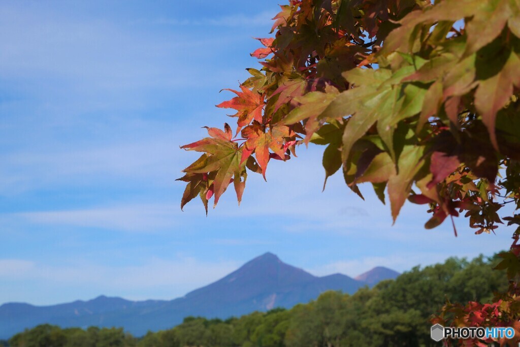 会津若松出張1(福島)