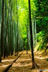 倉吉散歩1(鳥取)