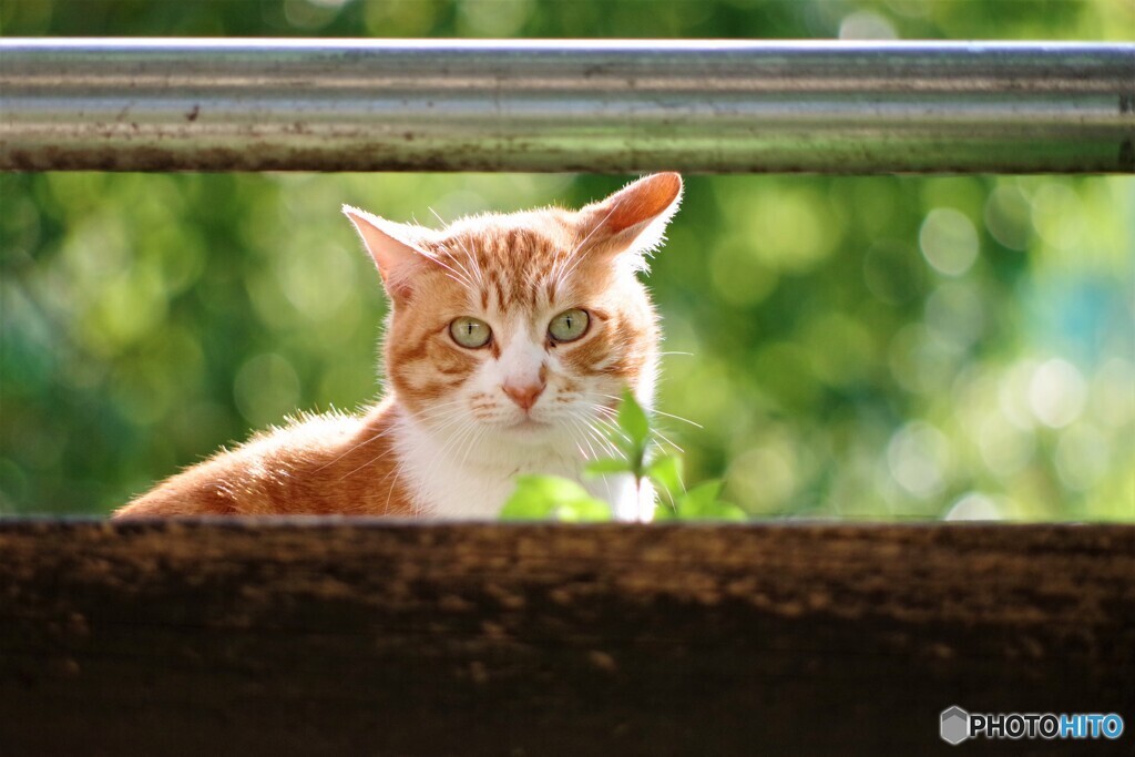 天王寺区散歩④(大阪)