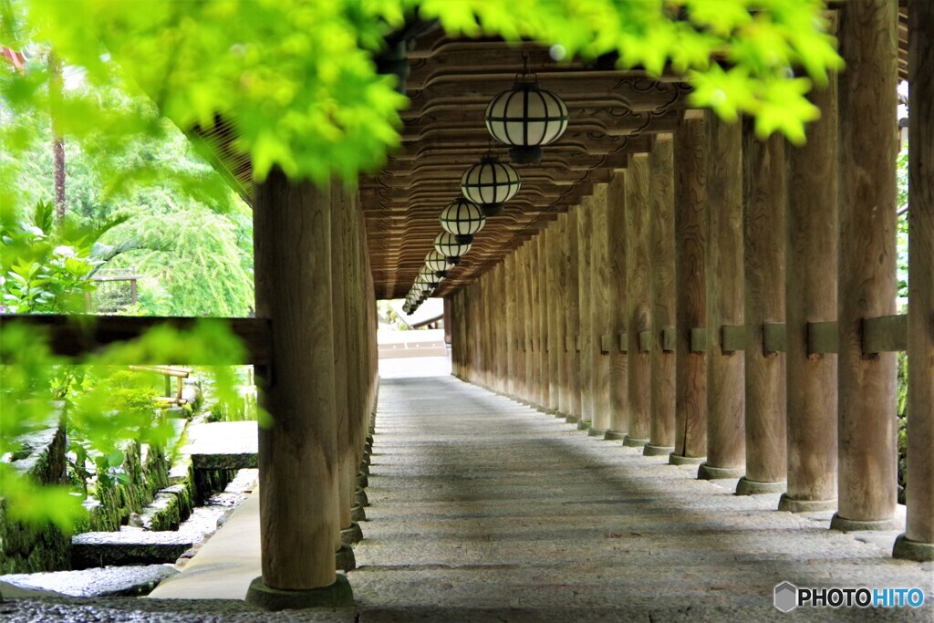 桜井散歩3(奈良)