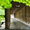 桜井散歩3(奈良)