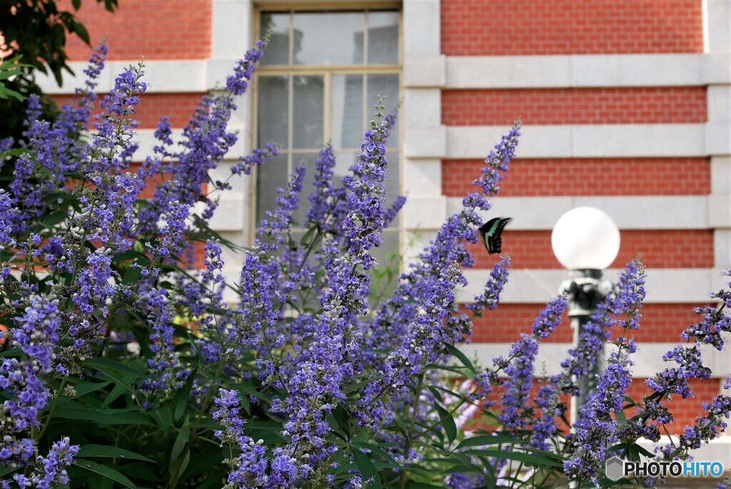 中央区散歩3(大阪)