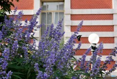 中央区散歩3(大阪)