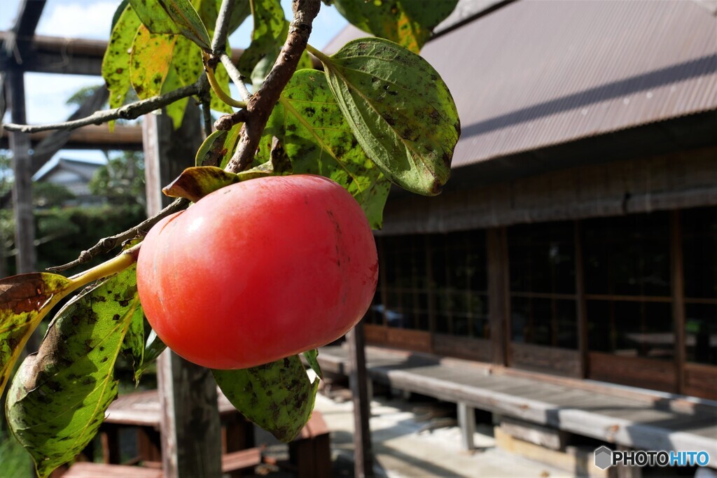 綾部散歩2(京都)