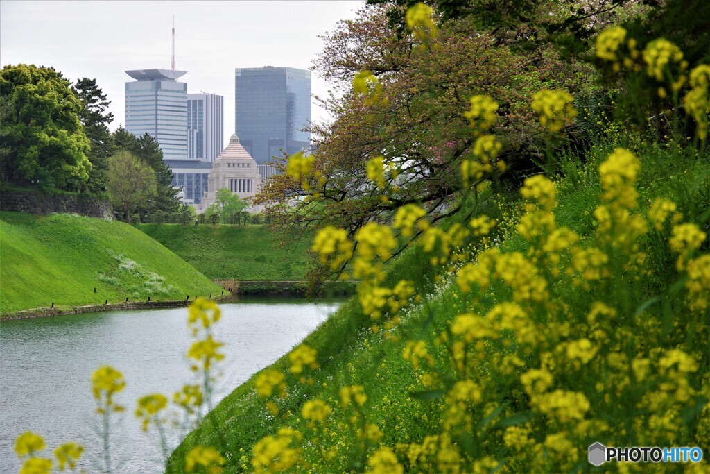 千代田区散歩②(東京)