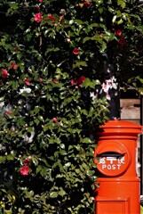 葉山町散歩2(神奈川)