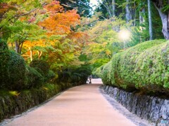 高野町6(和歌山)