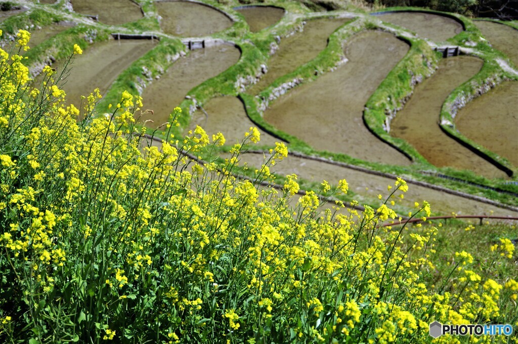 熊野散歩3(三重)