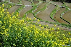 熊野散歩3(三重)