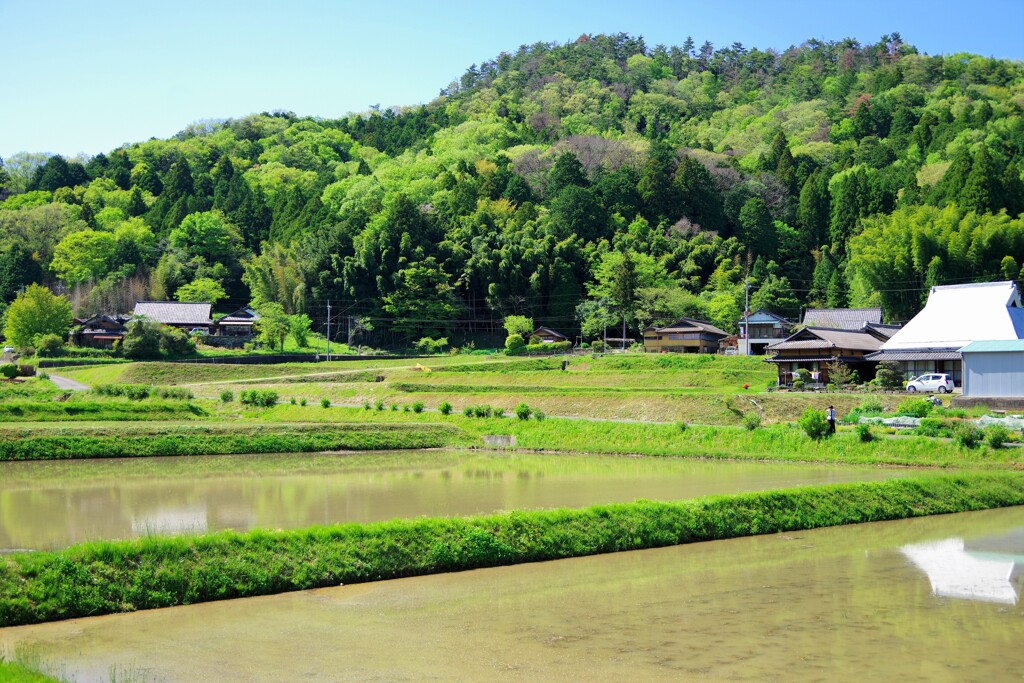 かつらぎ町散歩2(和歌山)