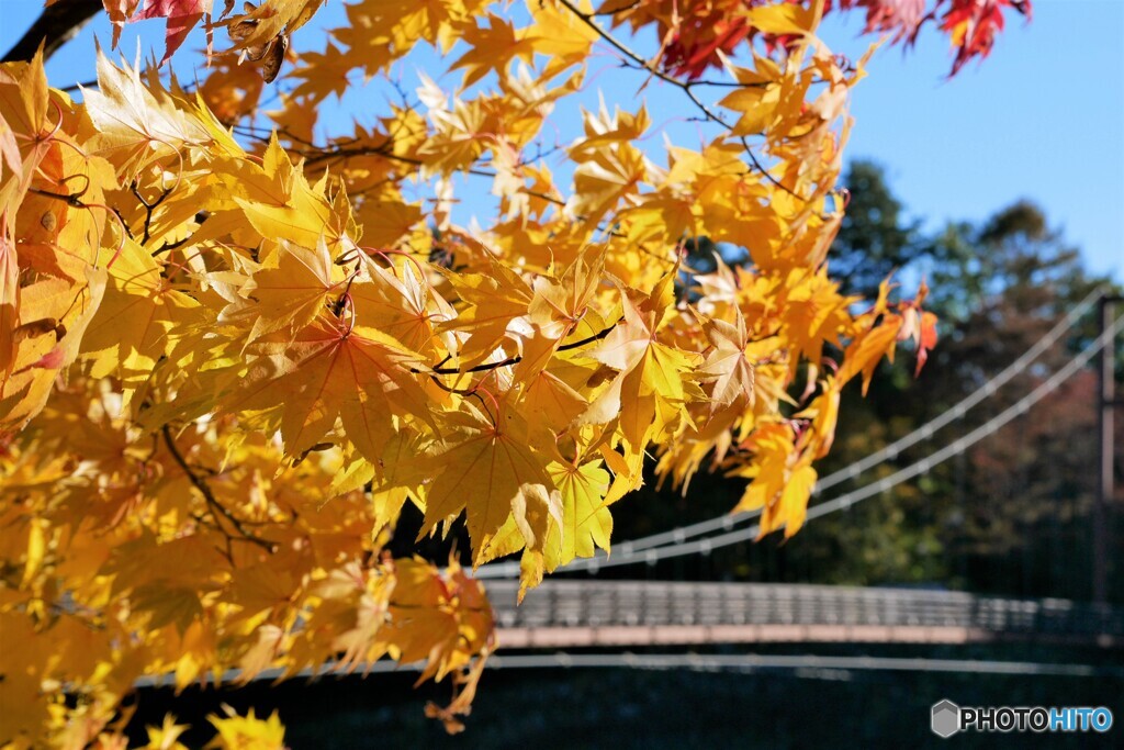 駒ヶ根散歩3(長野)