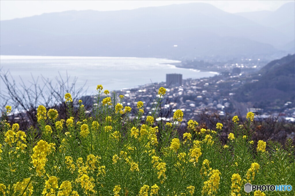 二宮町散歩1(神奈川)