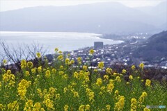 二宮町散歩1(神奈川)