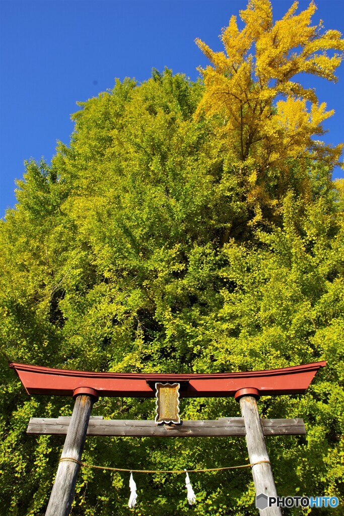 飯山散歩6(長野)