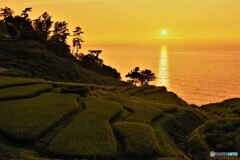 能登散歩⑥(石川)