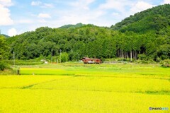甲賀14(滋賀)