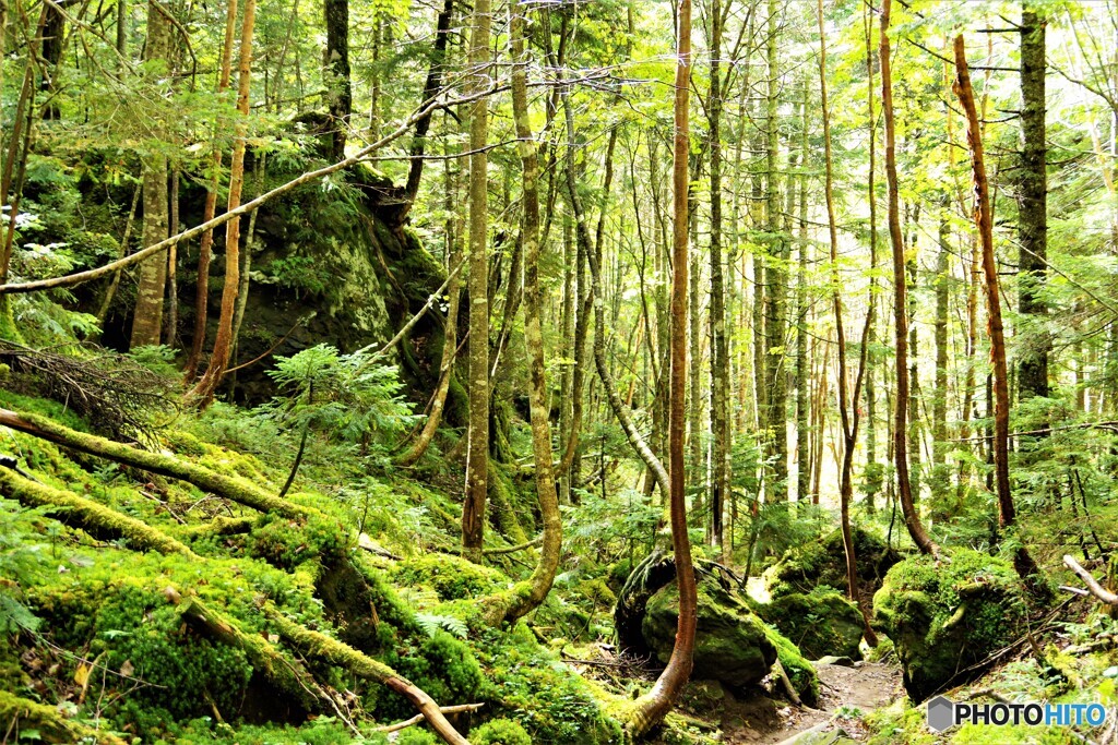 片品村散歩2(群馬)