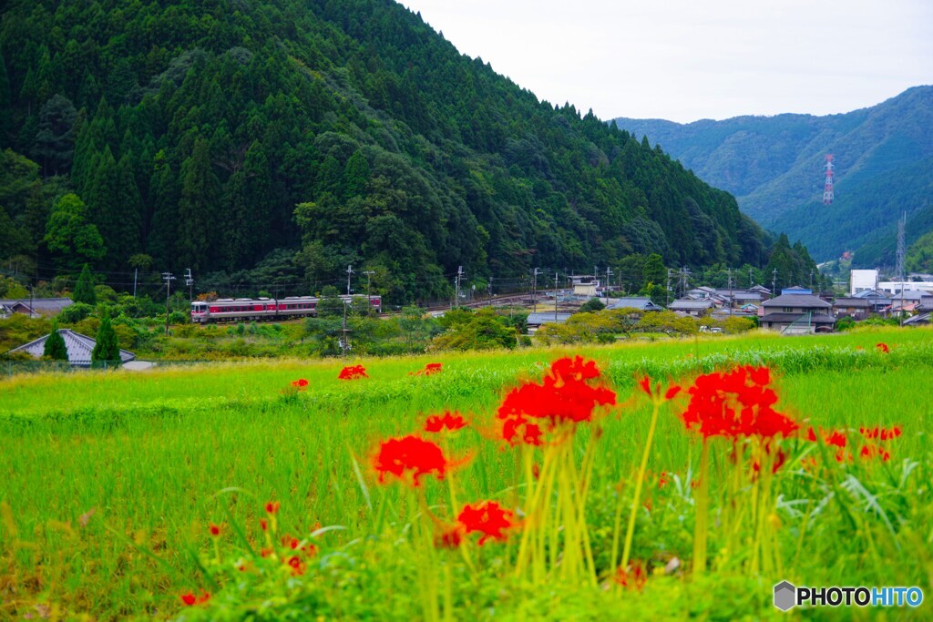 神河町8(兵庫)