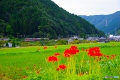 神河町8(兵庫)