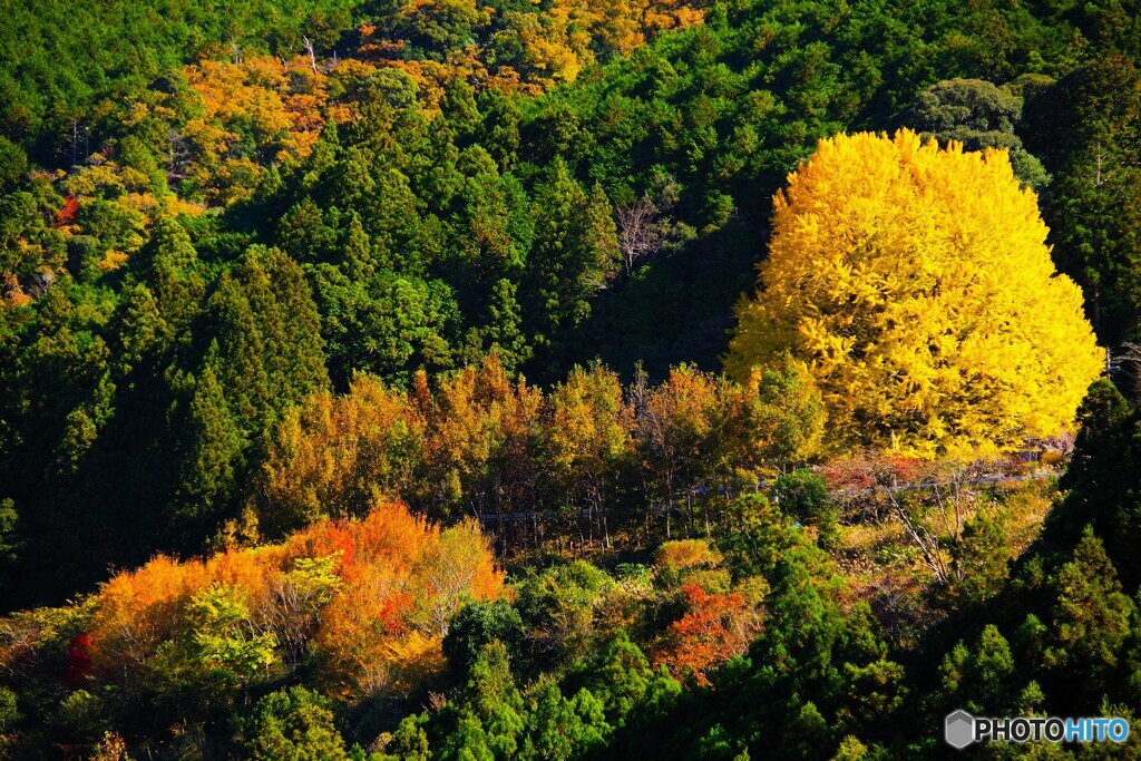 田辺散歩1(和歌山)