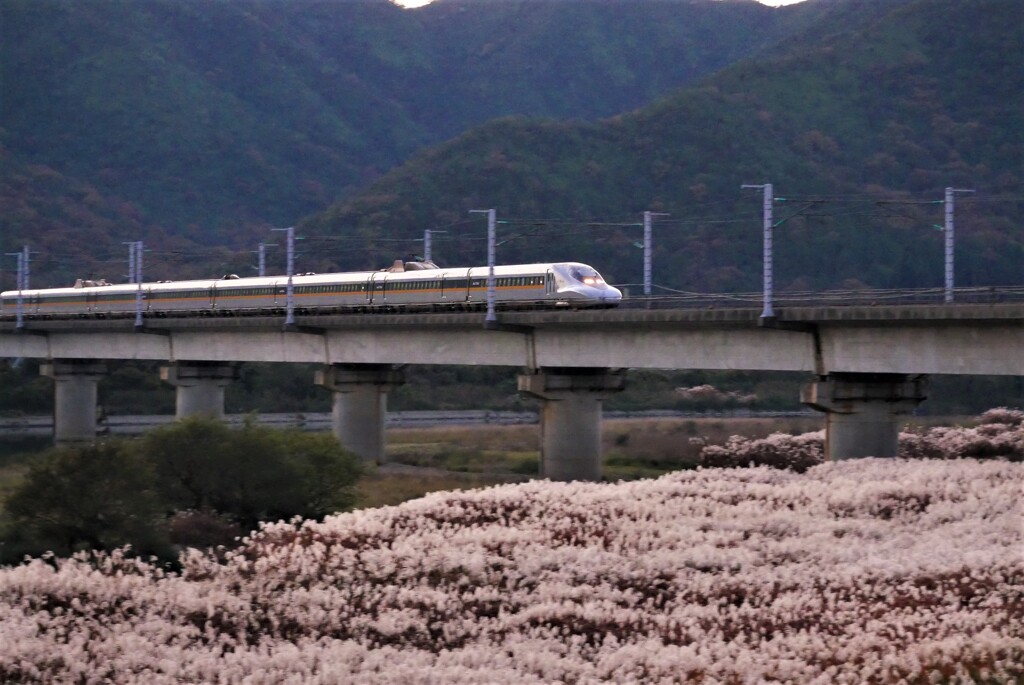 赤穂散歩①(兵庫)