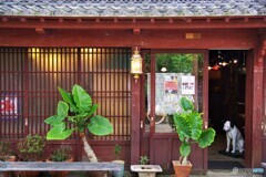 亀山散歩2(三重)