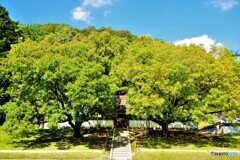 備前散歩1(岡山)