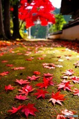 有田川町7(和歌山)