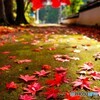 有田川町7(和歌山)