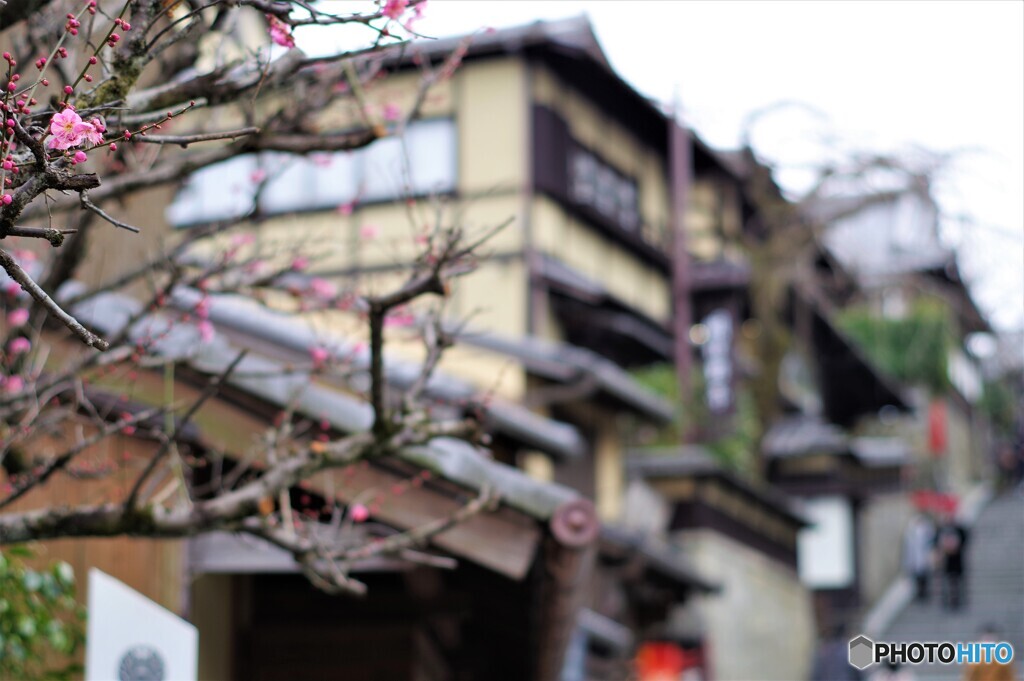 東山区散歩13(京都)