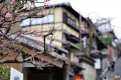 東山区散歩13(京都)